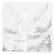 Pietra Alba Marble-Look Tile shown on a white background