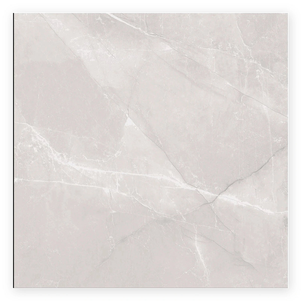 Pietra Latte Marble-Look Tile shown on a white background