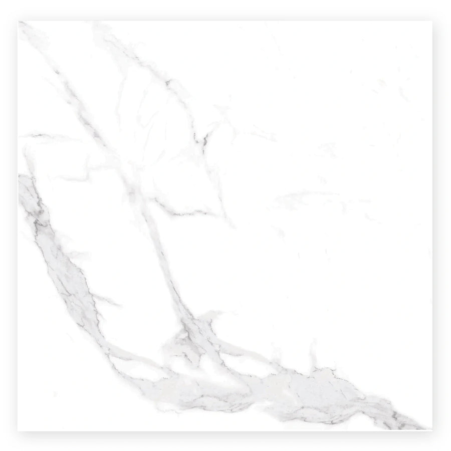Pietra Neve Marble-Look Tile shown on a white background