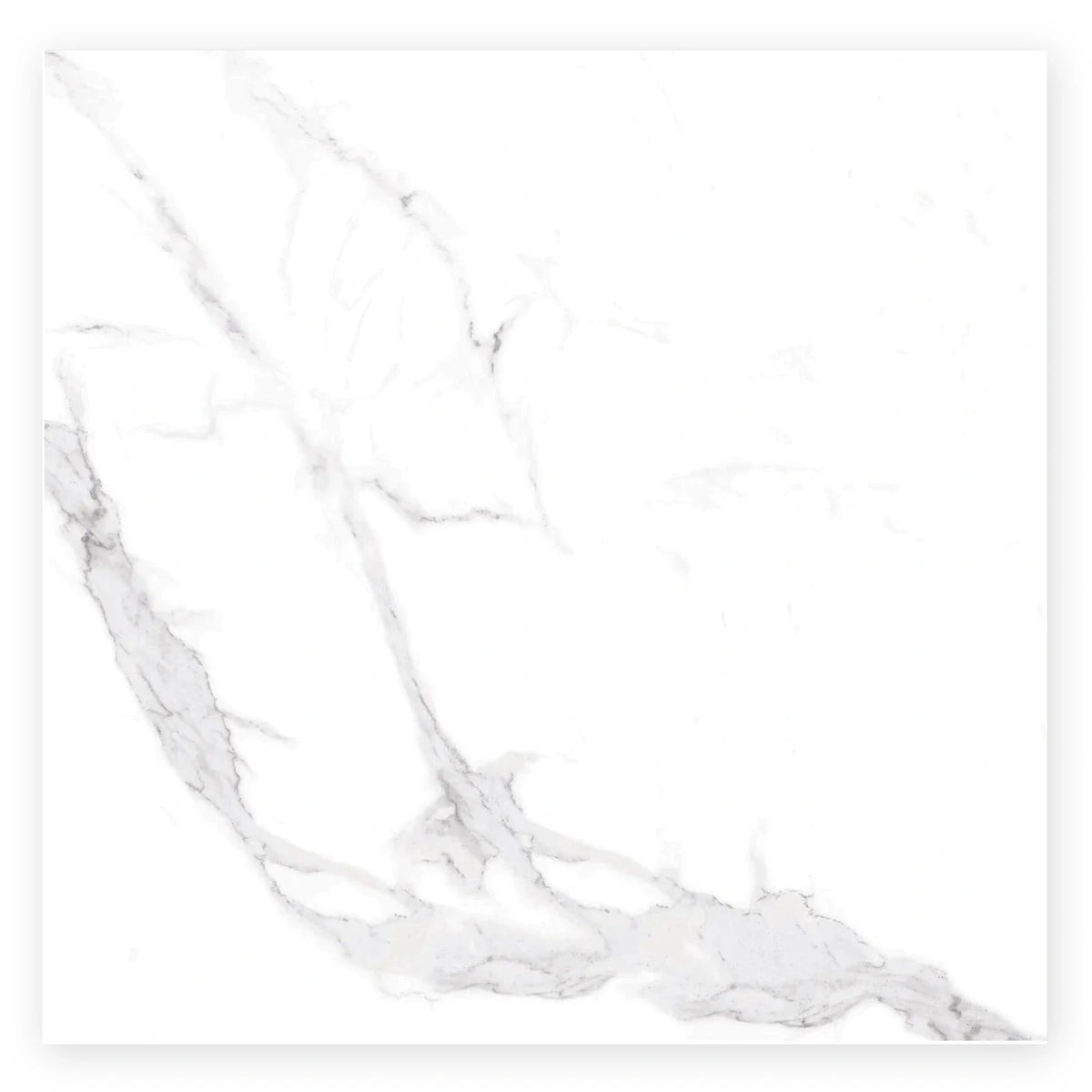 Pietra Neve Marble-Look Tile shown on a white background