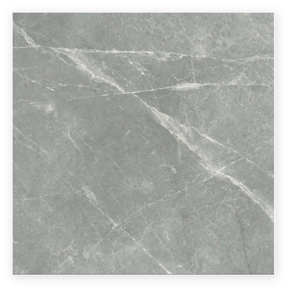 Pietra Shadow Marble-Look Tile shown on a white background