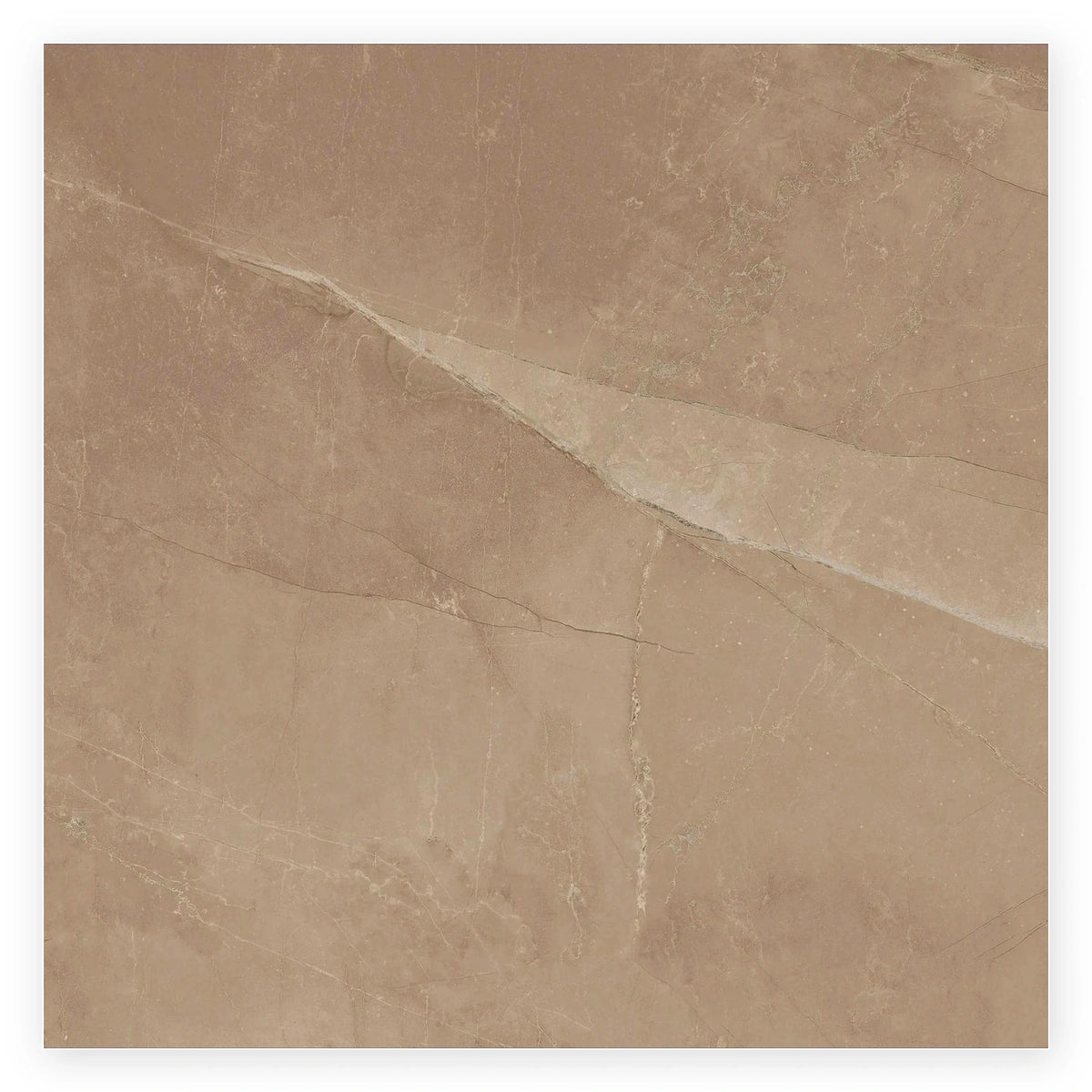 Pietra Sienna Marble-Look Tile shown on a white background