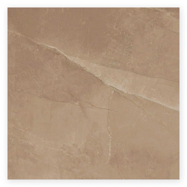 Pietra Sienna Marble-Look Tile shown on a white background