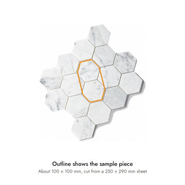 Sample size for Carrara Large Hexagon Mosaic Tile: the outlined section is about 100 × 100 mm, cut from a 250 × 290 mm sheet.