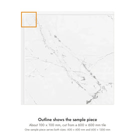 Sample size for Pietra Alba Marble-Look Tile: the outlined piece is about 100 × 100 mm, cut from a 600 × 600 mm tile.