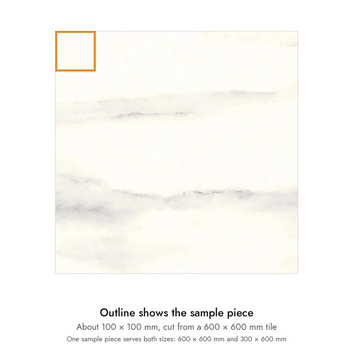 Sample size for Pietra Bianco Marble-Look Tile: the outlined piece is about 100 × 100 mm, cut from a 600 × 600 mm tile.