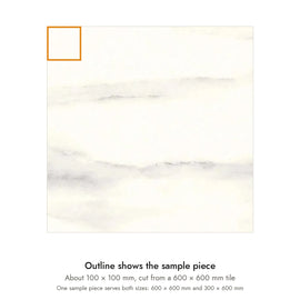 Sample size for Pietra Bianco Marble-Look Tile: the outlined piece is about 100 × 100 mm, cut from a 600 × 600 mm tile.