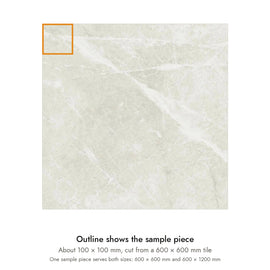 Sample size for Pietra Dove Marble-Look Tile: the outlined piece is about 100 × 100 mm, cut from a 600 × 600 mm tile.