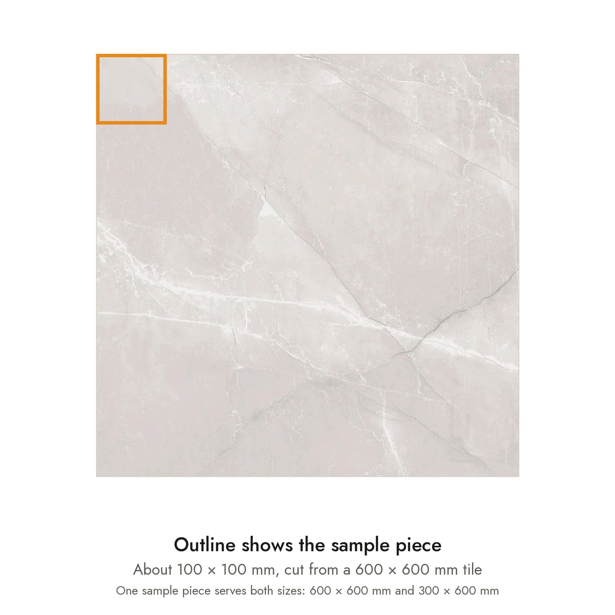 Sample size for Pietra Latte Marble-Look Tile: the outlined piece is about 100 × 100 mm, cut from a 600 × 600 mm tile.