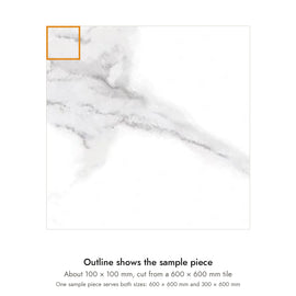 Sample size for Pietra Neve Marble-Look Tile: the outlined piece is about 100 × 100 mm, cut from a 600 × 600 mm tile.