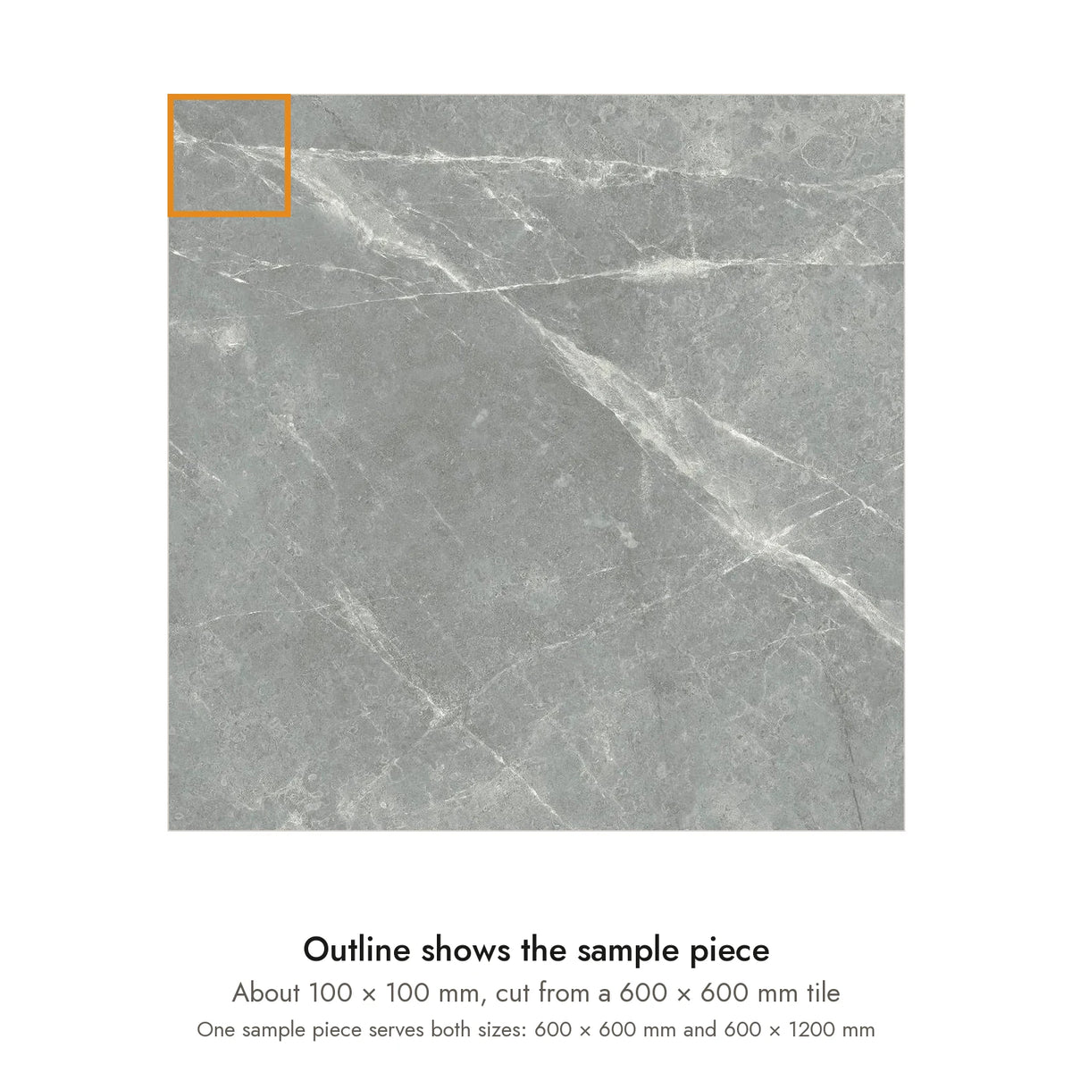 Sample size for Pietra Shadow Marble-Look Tile: the outlined piece is about 100 × 100 mm, cut from a 600 × 600 mm tile.