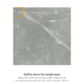 Sample size for Pietra Shadow Marble-Look Tile: the outlined piece is about 100 × 100 mm, cut from a 600 × 600 mm tile.