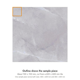 Sample size for Pietra Storm Marble-Look Tile: the outlined piece is about 100 × 100 mm, cut from a 600 × 600 mm tile.
