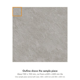 Sample size for Ridge Grey Stone-Look Tile: the outlined piece is about 100 × 100 mm, cut from a 600 × 600 mm tile.
