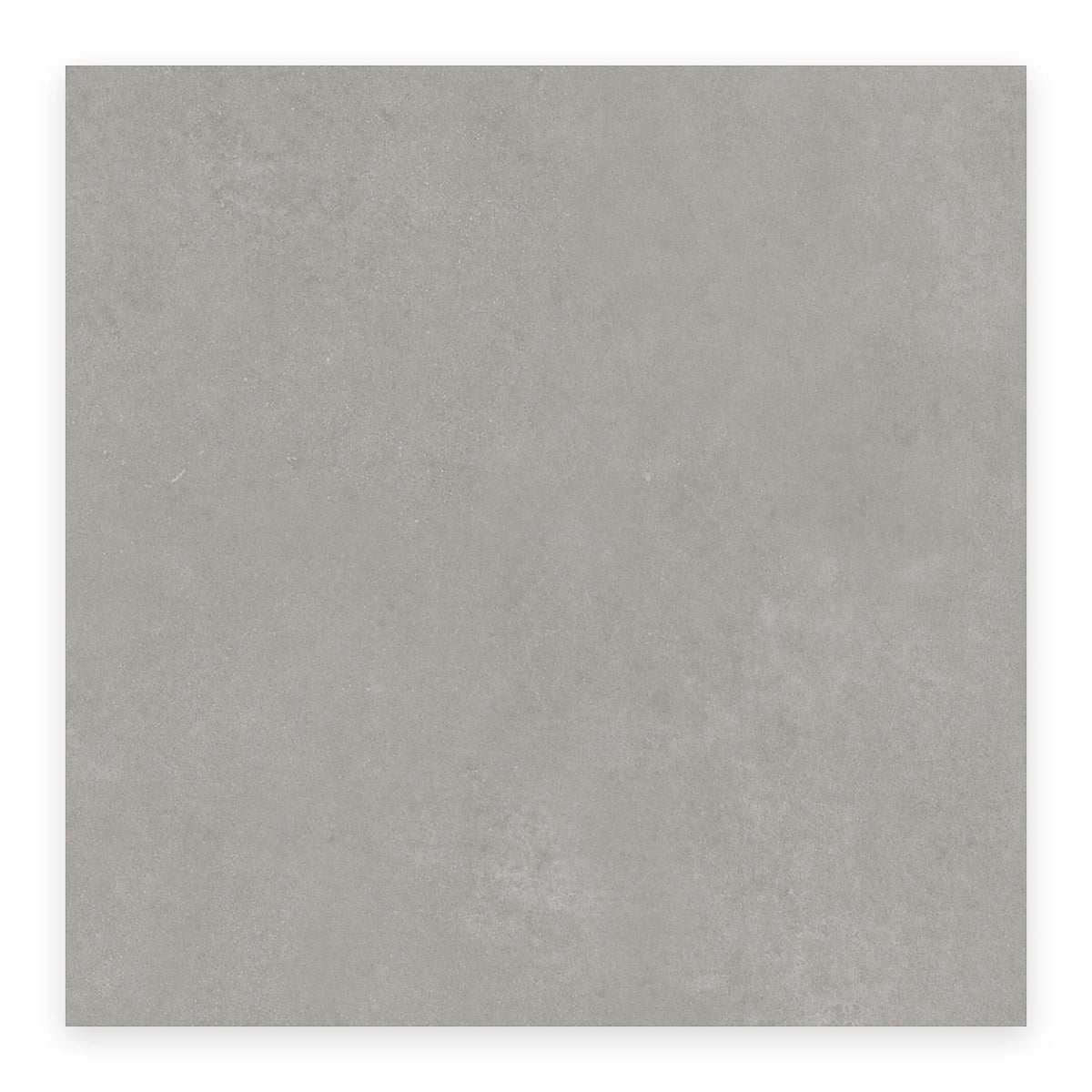 Urban Mist Concrete-Look Tile shown on a white background
