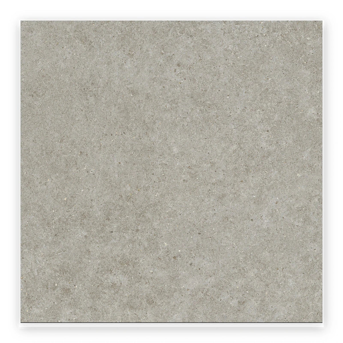 Quarry Stone Concrete-Look Tile shown on a white background