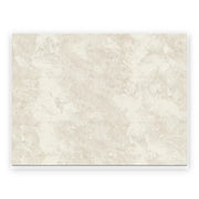 Atlas Ivory Stone-Look Tile shown on a white background