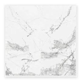 Pietra Alba Marble-Look Tile shown on a white background